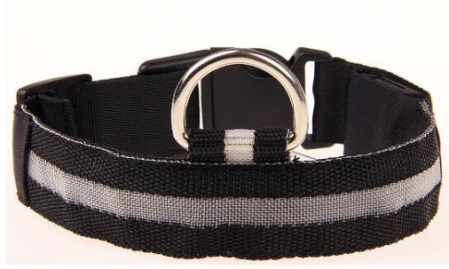 LED Night Collar – Keep Your Pet Safe in the Dark