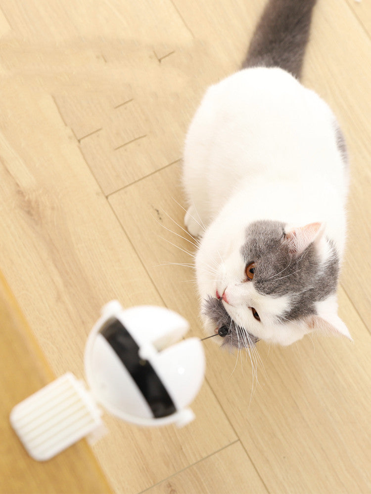 Smart Lifting Motion Cat Toy – Play and Tease