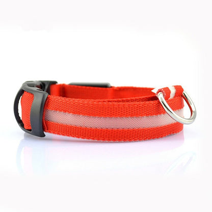 LED Night Collar – Keep Your Pet Safe in the Dark