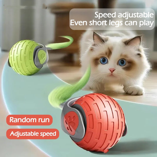 Electric Rolling Cat Toy – Smart, Rechargeable, and Fun