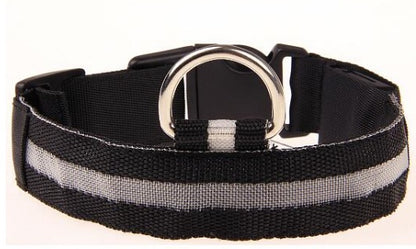 LED Night Collar – Keep Your Pet Safe in the Dark