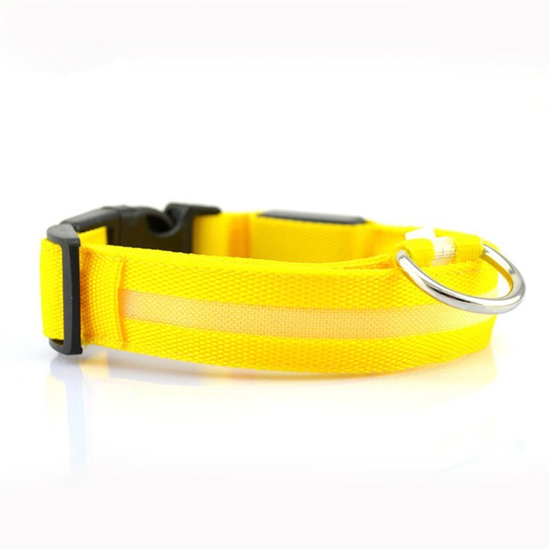 LED Night Collar – Keep Your Pet Safe in the Dark