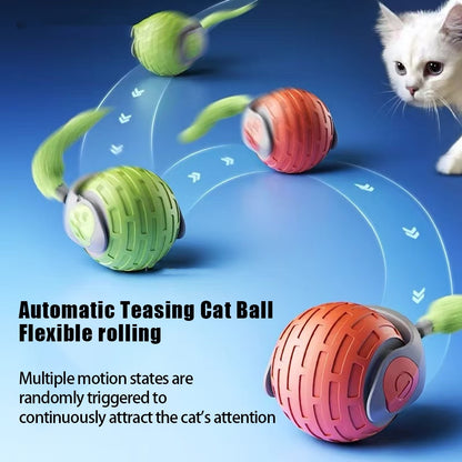 Electric Rolling Cat Toy – Smart, Rechargeable, and Fun
