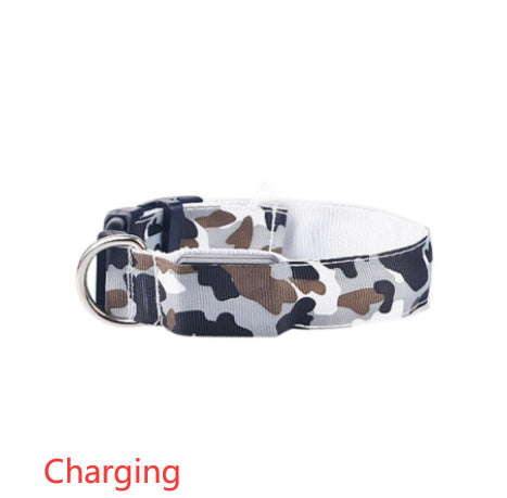 Luminous Camo Pet Collar – Night Safety with Style